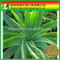 Aloe Vera Extract 90% Aloin hot sale in korea